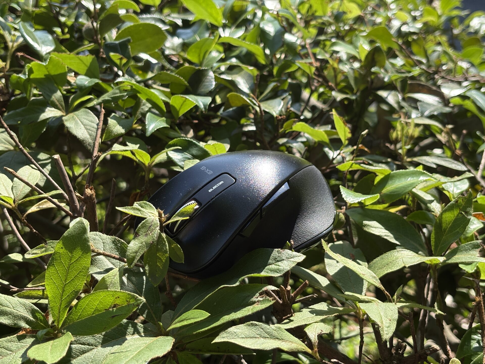 【2000円以下で手にフィット＆静音】ELECOM M-XGL10DBSBKレビュー｜M-XGM10DBSBK・M-XGS10DBSBKの違いも解説【定番EX-Gシリーズ】