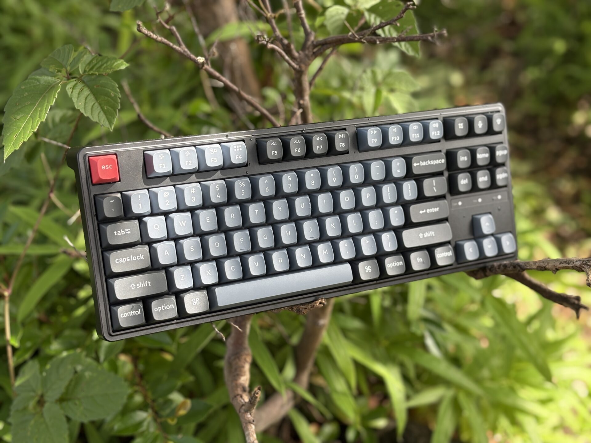 【初心者向けカスタムキーボード】Keychron C3 Proのキーキャップ交換に挑戦！音と見た目を自分好みにカスタマイズ！